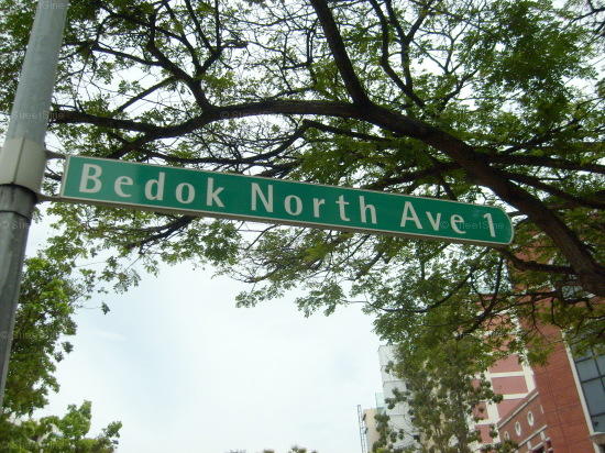 Bedok North Avenue 1 #89092